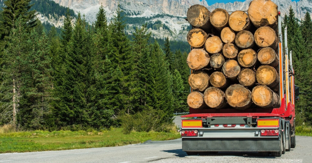 Zones rurales : défis logistiques du transport forestier